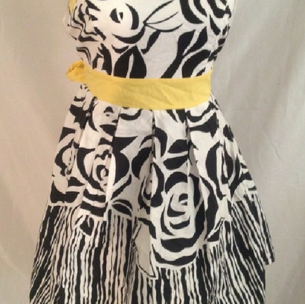 Flirty Sundress